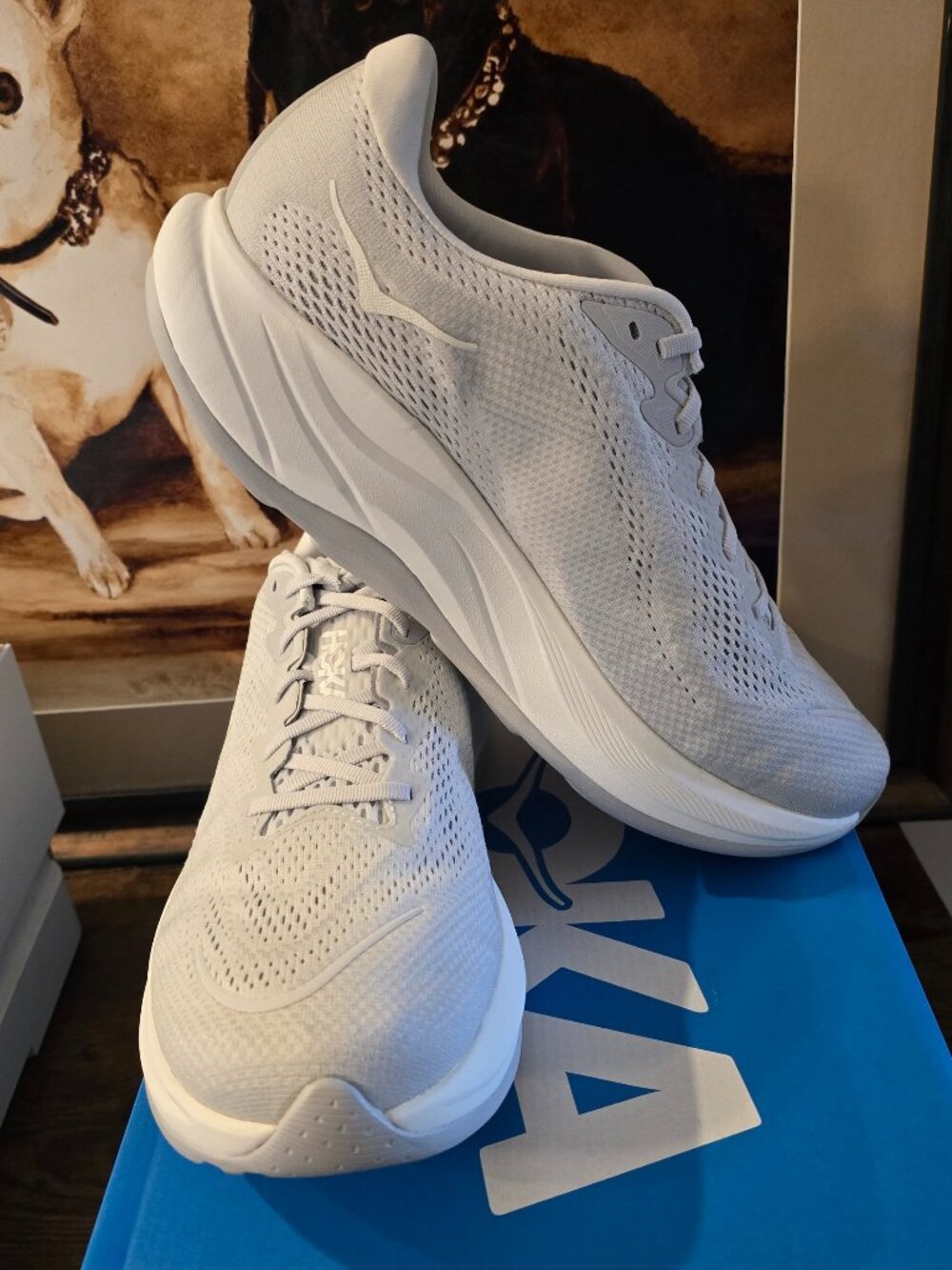 Hoka One One Arahi 8 Shoes Mens Size 11 EE Wide 1155132-SSTC Beige Running NEW